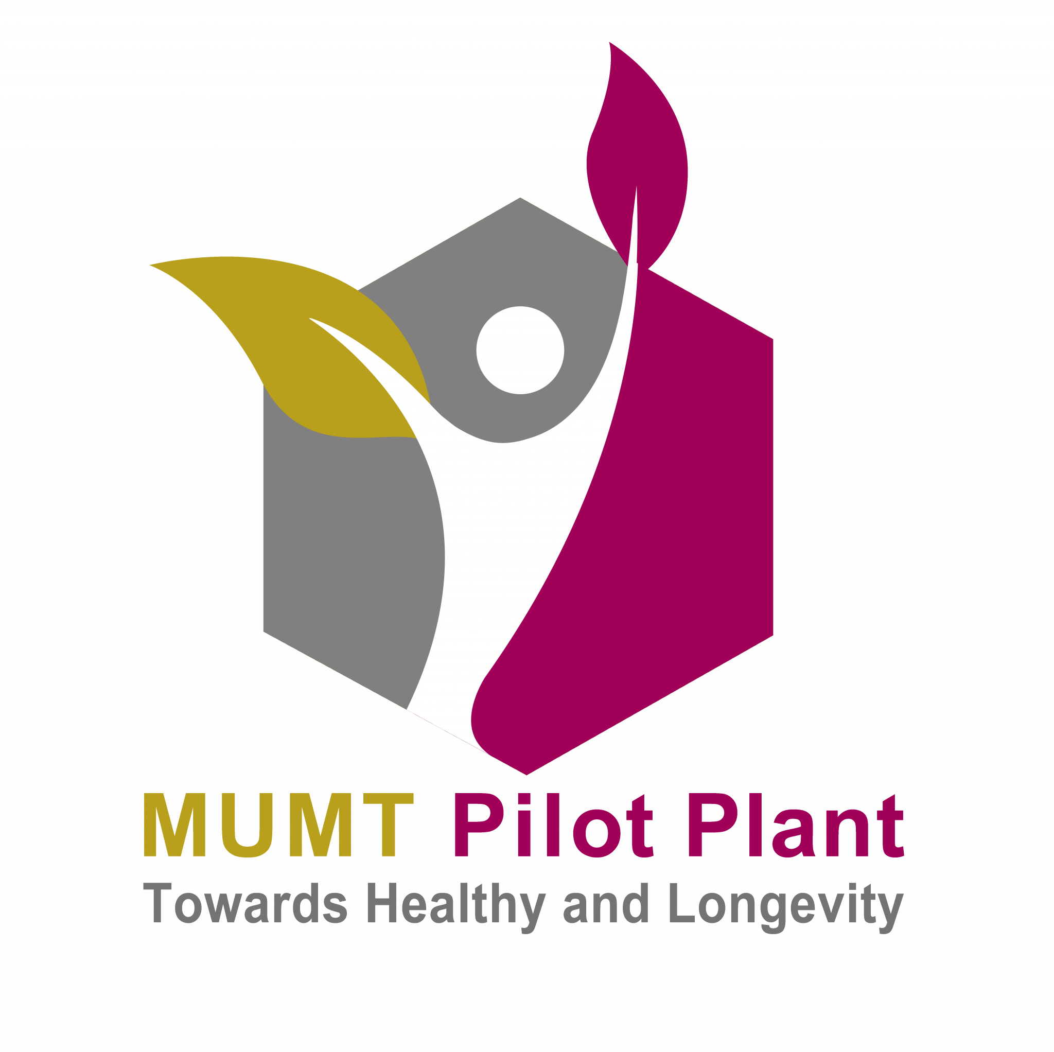 mumt-pilot-plant-faculty-of-medical-technology